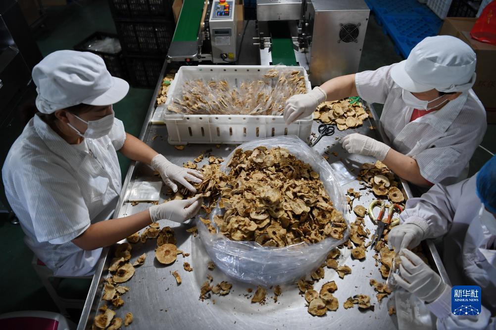 捕鱼10000金币换100